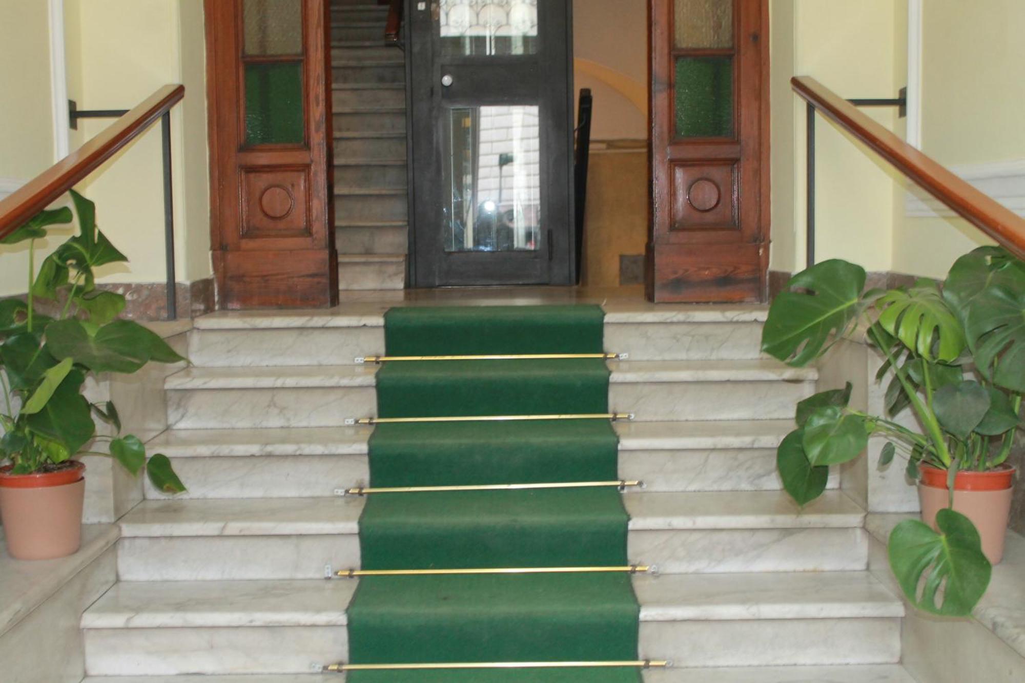 Daffodil In Roma San Pietro Bed & Breakfast エクステリア 写真