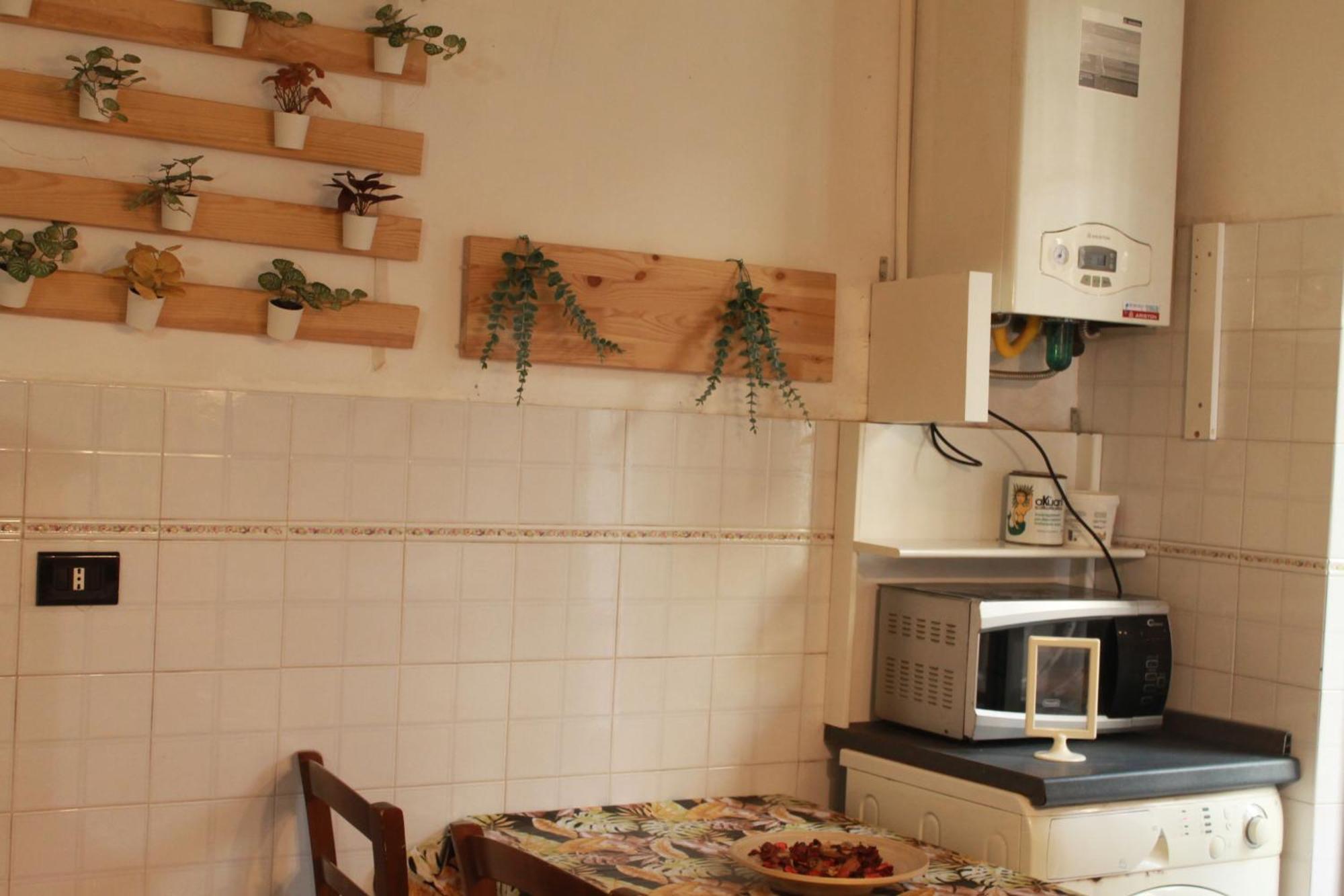 Daffodil In Roma San Pietro Bed & Breakfast エクステリア 写真